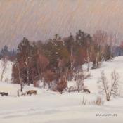 T M Nicholas CowsInDeepSnow T M Nicholas CowsInDeepSnow