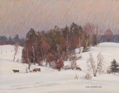 T M Nicholas CowsInDeepSnow T M Nicholas CowsInDeepSnow